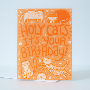 holy cats funny cat birthday card for cat lover