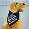 Philadelphia Dog Bandanna- Philly Sports Fan Bandanna for Dog, Doggo Duds