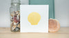 Scallop Shell Art Print for Beach House - Original Shell Art Print