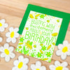bee birthday card, birthday card for beekeeper, birthday card for gardener, nature lover birthday card