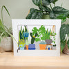 Illustration of potted plants on a white background with real plants in the background.