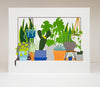 Illustration of various potted plants on a white background