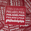 Philadelphia sports sticker, Philadelphia pride sticker, Philly fonts sticker, Philadelphia souvenir sticker
