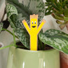 wacky waver plant stake for indoor houseplants