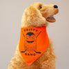 orange Flyers hockey dog bandanna for Philadelphia dog
