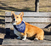 Pittsburgh dog bandanna, Pittsburgh icons dog bandanna, yellow dog bandanna for Pittsburgh dog