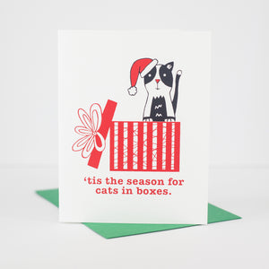 cat Christmas card, cat lover holiday card, tis the season for cats in boxes