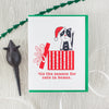 cat Christmas card, cat lover holiday card, tis the season for cats in boxes