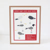 common new jersey seagull varieties art print