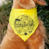 Pittsburgh dog bandanna in Pittsburgh Steelers colors of yellow and black