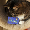 adopt dont shop sticker with a cat sniffing it