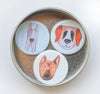 big dogs magnet set featuring illustrations of a great dane, german shepherd, and a saint bernard