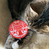 philly sticker in red
