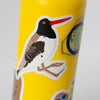 American Oystercatcher bird sticker on a hydroflask
