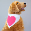 white dog bandanna for wedding or engagement dog bandanna